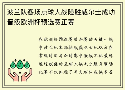波兰队客场点球大战险胜威尔士成功晋级欧洲杯预选赛正赛